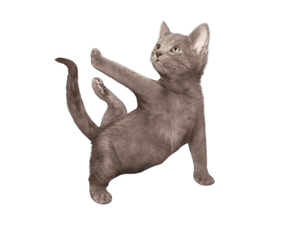 sticker-1